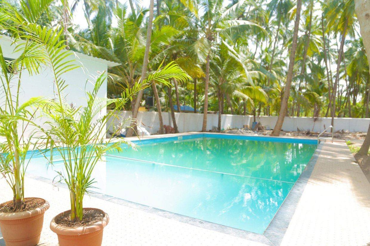 Murud Marina swimming pool framed by palm trees